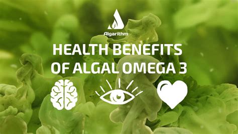 benefits of algae omega 3.